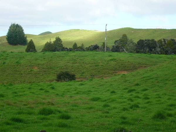 PIECE OF POPULAR PERIA Picture 2