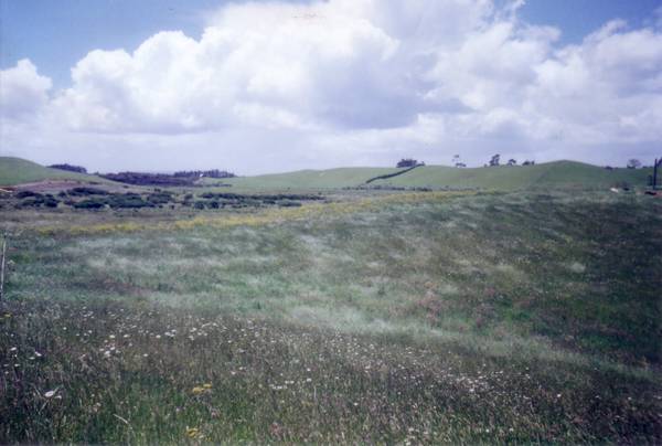 A Land with Returns $350,000+GST Picture 1