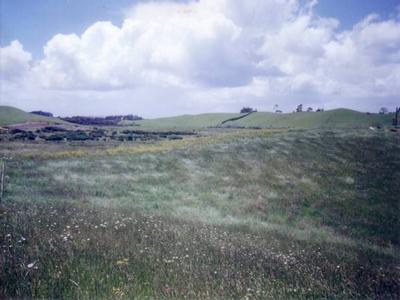 A Land with Returns $350,000+GST Picture A Land with Returns $350,000+GST Picture