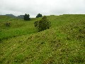 STRONG GRAZING BLOCK Picture