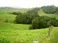 STRONG GRAZING BLOCK Picture