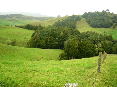 STRONG GRAZING BLOCK Picture