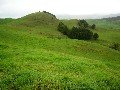 STRONG GRAZING BLOCK Picture