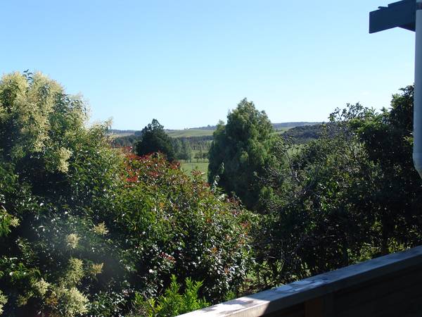 CHARACTER IN CHURCH ROAD Picture 1