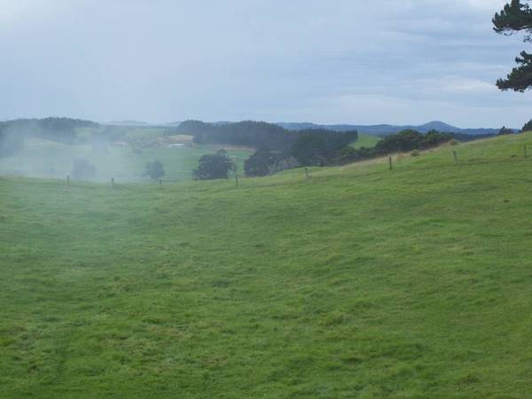 BEST VIEWS BY FAR Picture 3