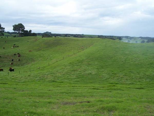 BEST VIEWS BY FAR Picture 2