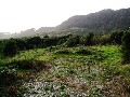 HOKIANGA HARBOUR - OMAPERE Picture