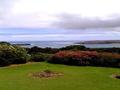 HOKIANGA HARBOUR - OMAPERE Picture