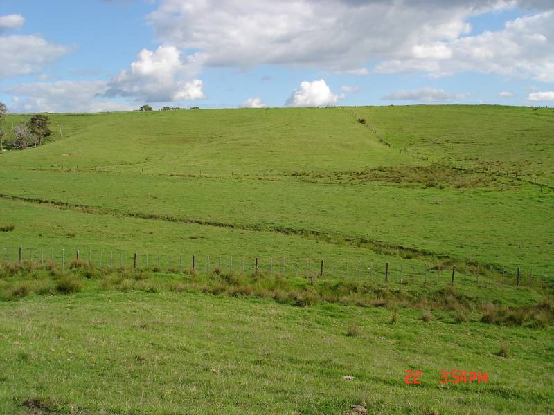 LIFESTYLE PLUS - KAITAIA Picture 1