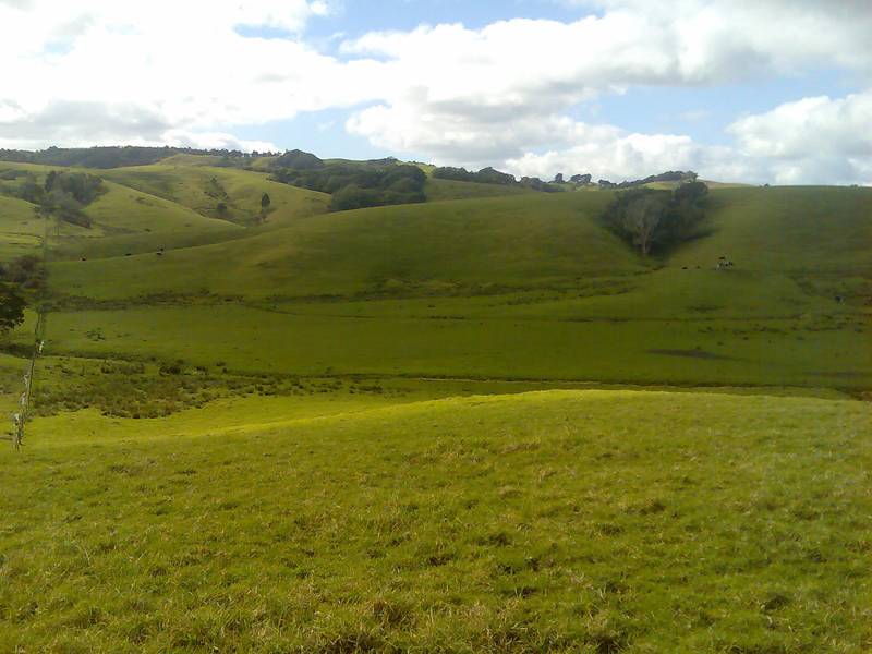 LIFESTYLE PLUS - KAITAIA Picture 2