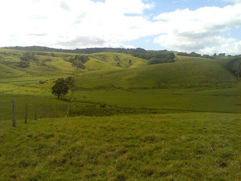 LIFESTYLE PLUS - KAITAIA Picture 3