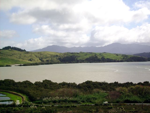 HOKIANGA HARBOUR VIEWS - RAWENE Picture 2