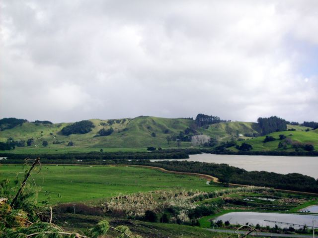 HOKIANGA HARBOUR VIEWS - RAWENE Picture 3