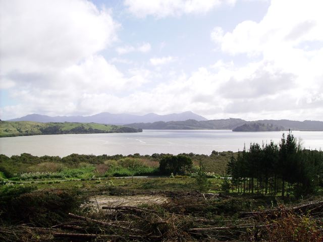 HOKIANGA HARBOUR VIEWS - RAWENE Picture 1