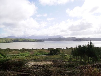 HOKIANGA HARBOUR VIEWS - RAWENE Picture