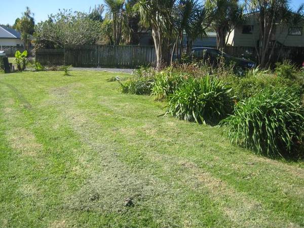 READY FOR YOU IN RONGOPAI! Picture 2