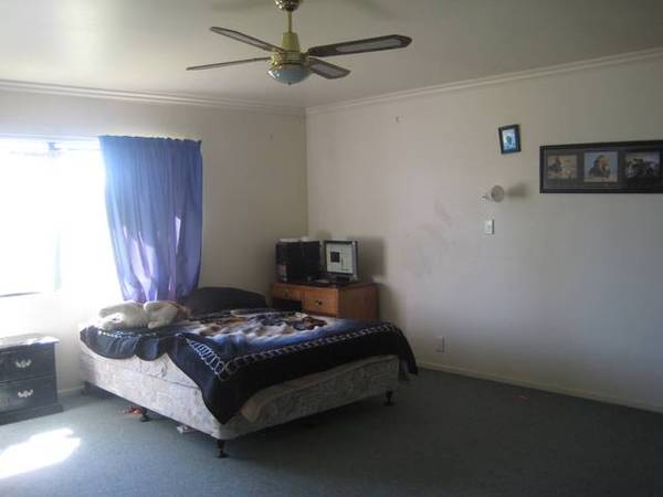 READY FOR YOU IN RONGOPAI! Picture 3