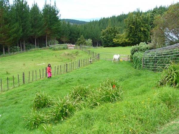 REMOTE FAMILY PLAYGROUND Picture 2