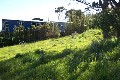 AHIPARA BAY Picture