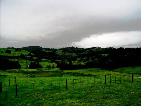 HOKIANGA HARBOUR - OUE Picture 3