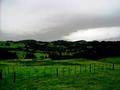 HOKIANGA HARBOUR - OUE Picture