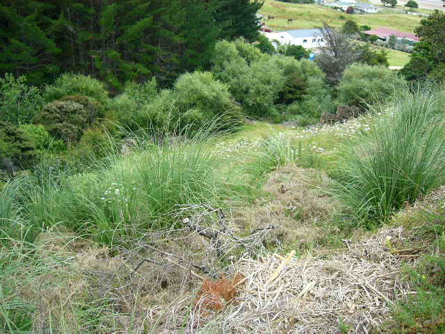 AN AHIPARA INVESTMENT Picture 2