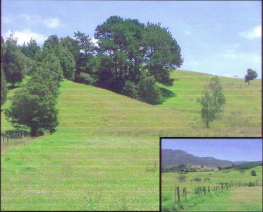 I LIKE COUNTRY Picture I LIKE COUNTRY Picture