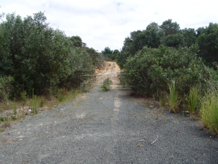 VIEWS, MAIN ROAD, AVOCADOS Picture 1