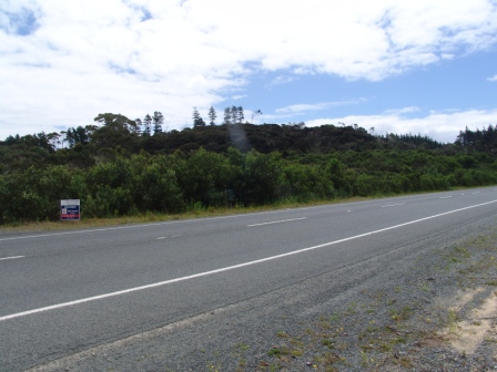VIEWS, MAIN ROAD, AVOCADOS Picture 2