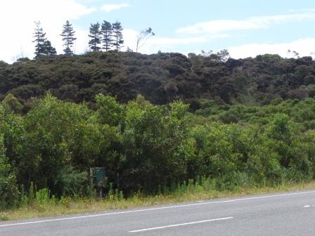 VIEWS, MAIN ROAD, AVOCADOS Picture 3