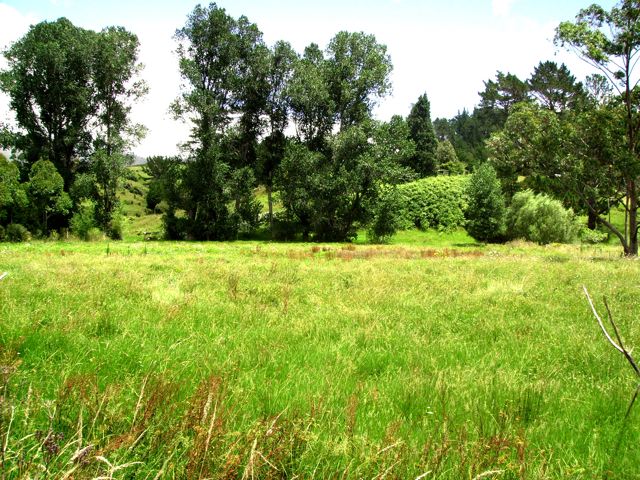 HOKIANGA HARBOUR - RAWENE LIFESTYLE Picture 2