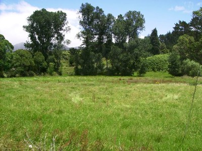HOKIANGA HARBOUR - RAWENE LIFESTYLE Picture