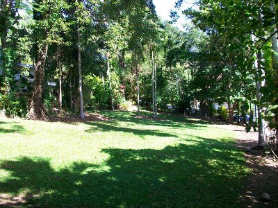 SENSATIONAL ELEVATED LAND - VERY RARE OPPORTUNITY Picture SENSATIONAL ELEVATED LAND - VERY RARE OPPORTUNITY Picture