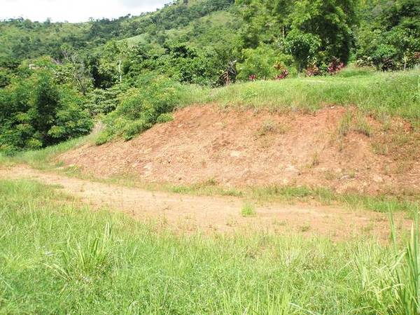 BUILD YOUR DREAM HOME TODAY!! Picture 2