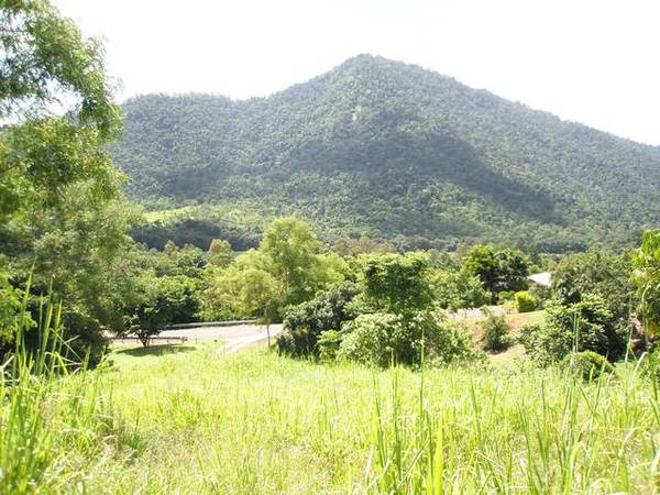 BUILD YOUR DREAM HOME TODAY!! Picture 3