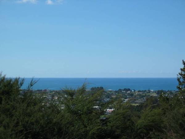 Bush Lovers Retreat Picture 2