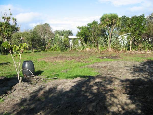 At The Beach Picture 3