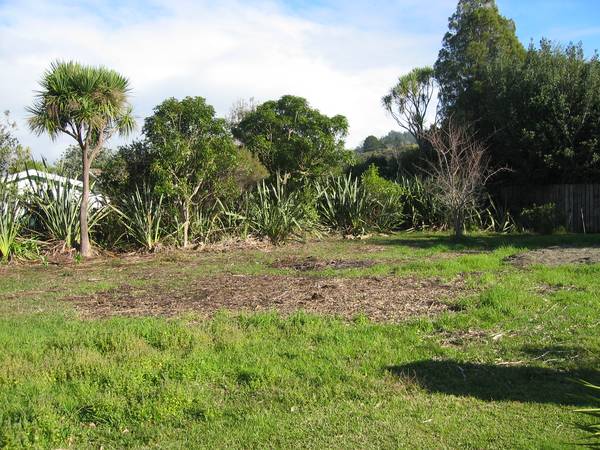 At The Beach Picture 2