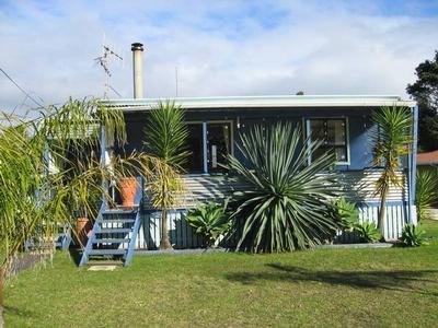 Cute Bach Picture Cute Bach Picture