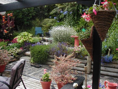 Little Gem Picture 2