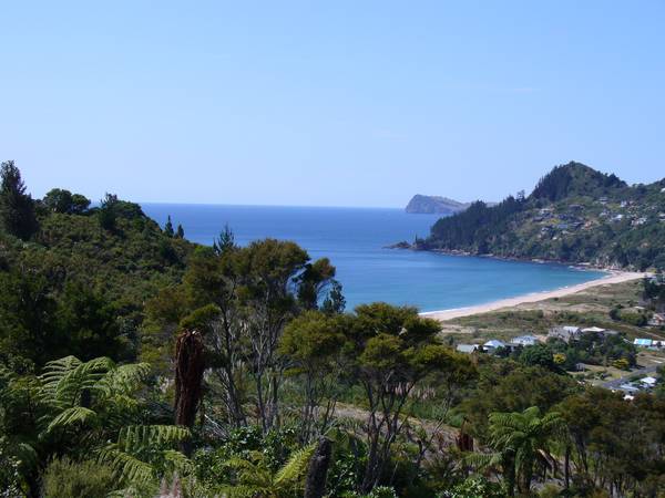 Pacific to Pinnacles Picture 2