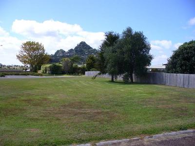 Very Nice Section - Lot 1 Picture