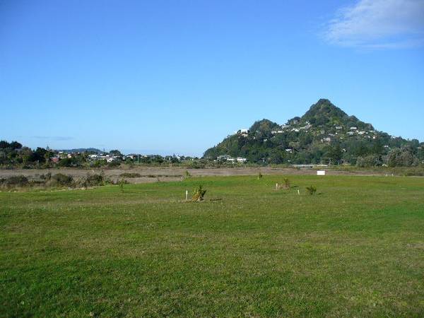 Tairua Palms Estate Picture 1