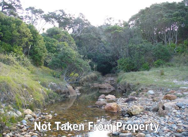 For Definite Sale Picture 3