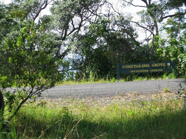 For Definite Sale Picture 2