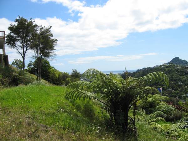 Heaps of Potential Picture 1