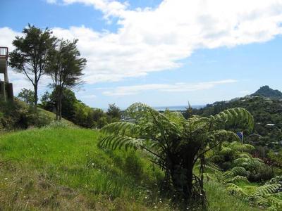 Heaps of Potential Picture