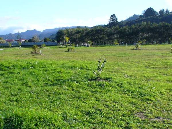 Bach or Home? Picture 3