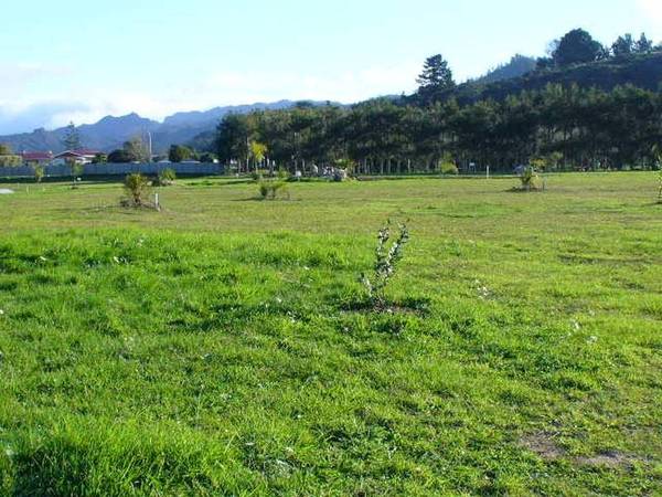 Tairua Palms Estate Picture 3