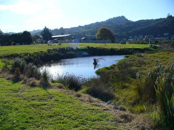 Tairua Palms Estate Picture 2